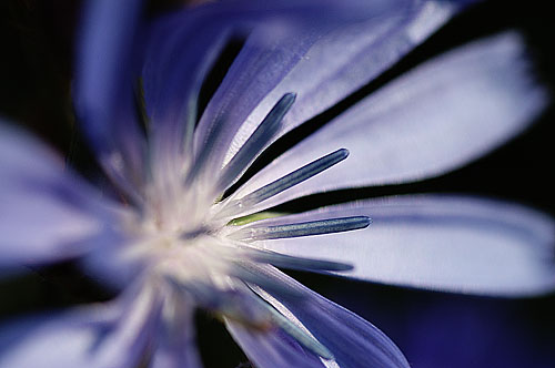 Galeriebild