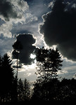 Bild anschauen