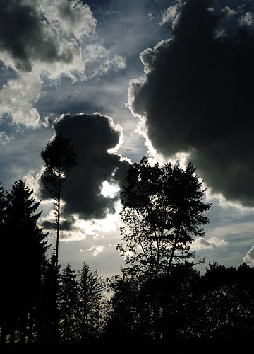 Galeriebild