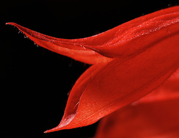 Galeriebild
