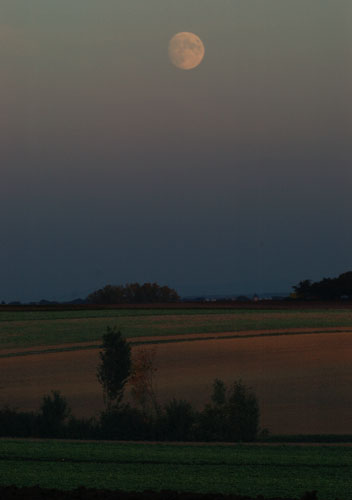 Galeriebild