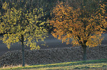 Bild anschauen