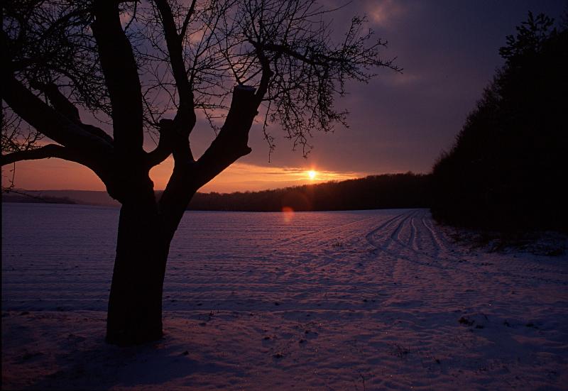 Foto 4 Serie Schnee Januar 2005