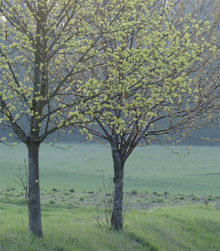 Galeriebild