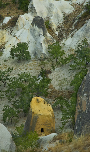 Galeriebild