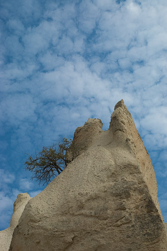Galeriebild