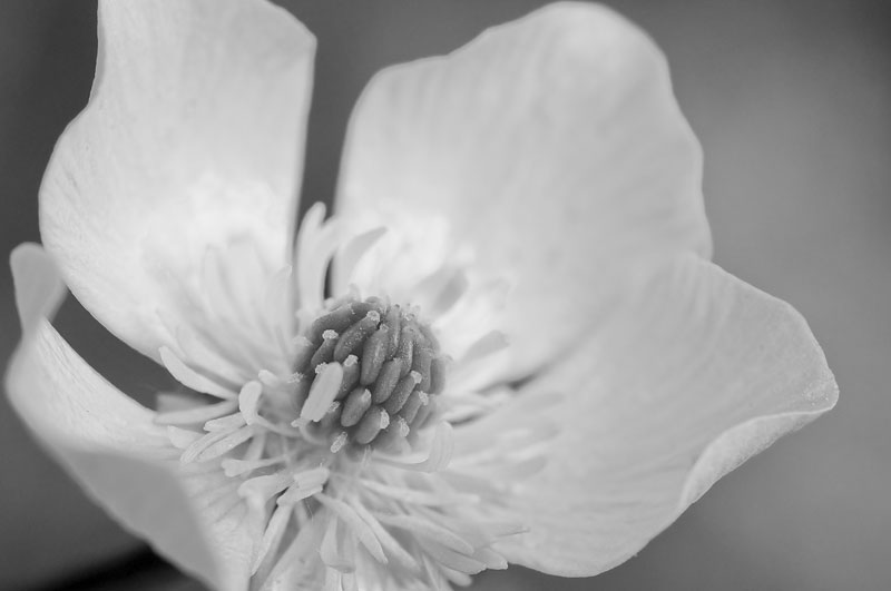 Galeriebild