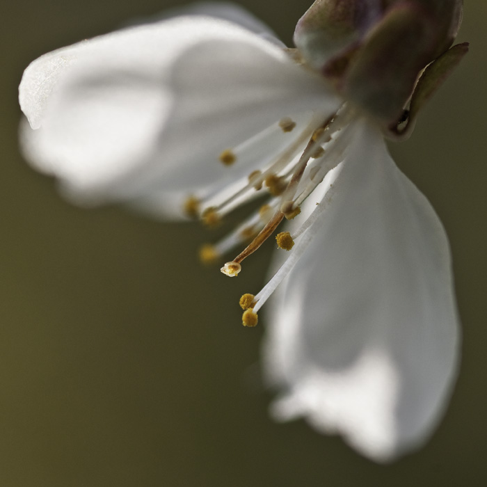 Galeriebild