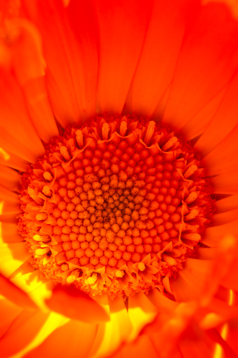 Galeriebild