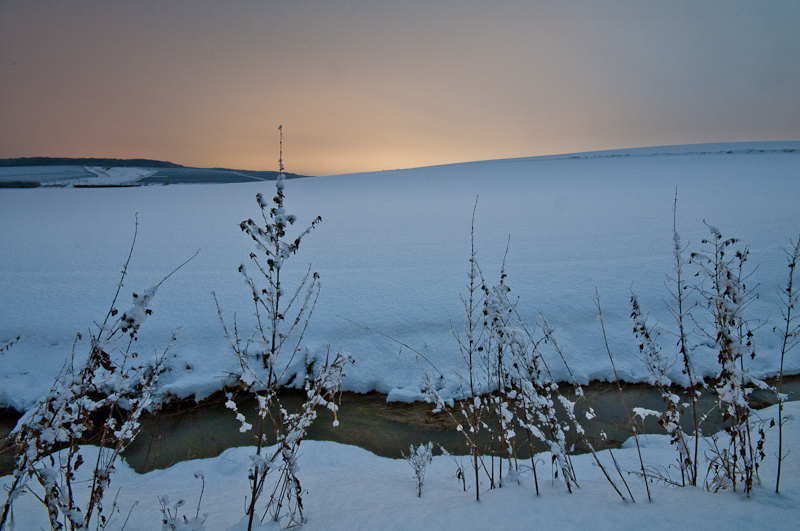 Galeriebild