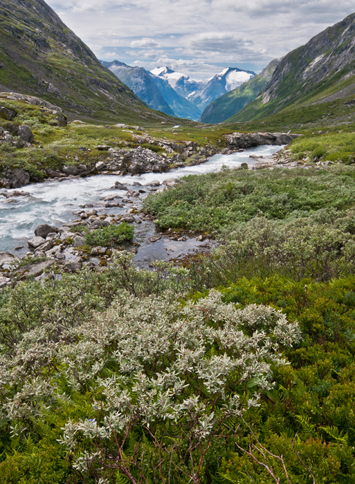 Galeriebild