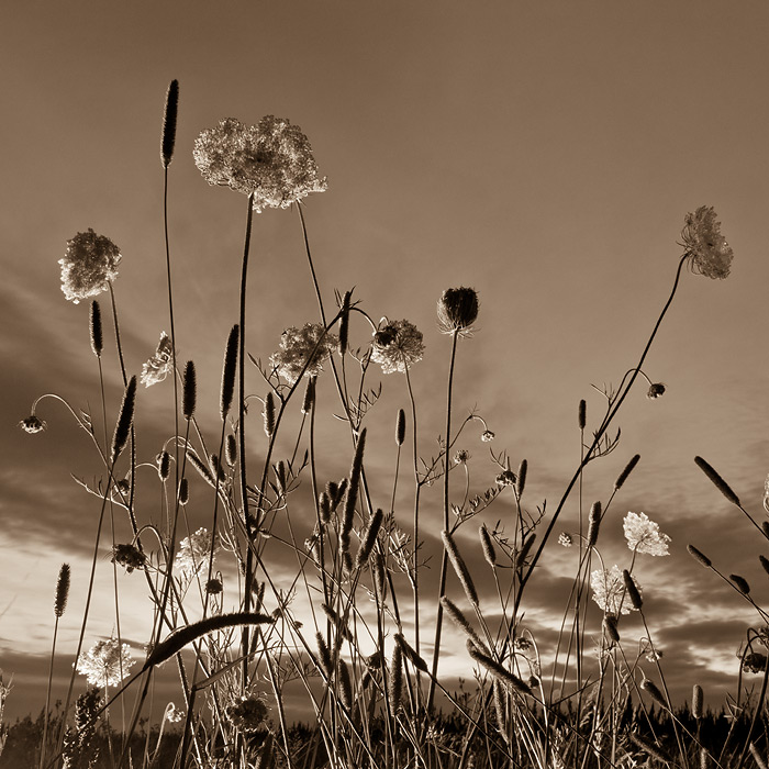 Galeriebild