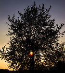 Bild anschauen