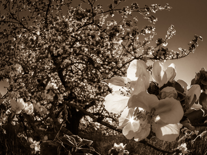 Galeriebild