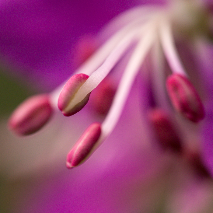 Galeriebild
