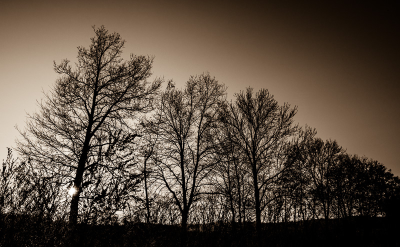 Galeriebild