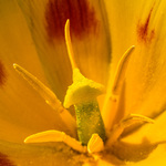 Bild anschauen