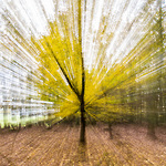 Bild anschauen