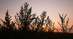 Bild anschauen