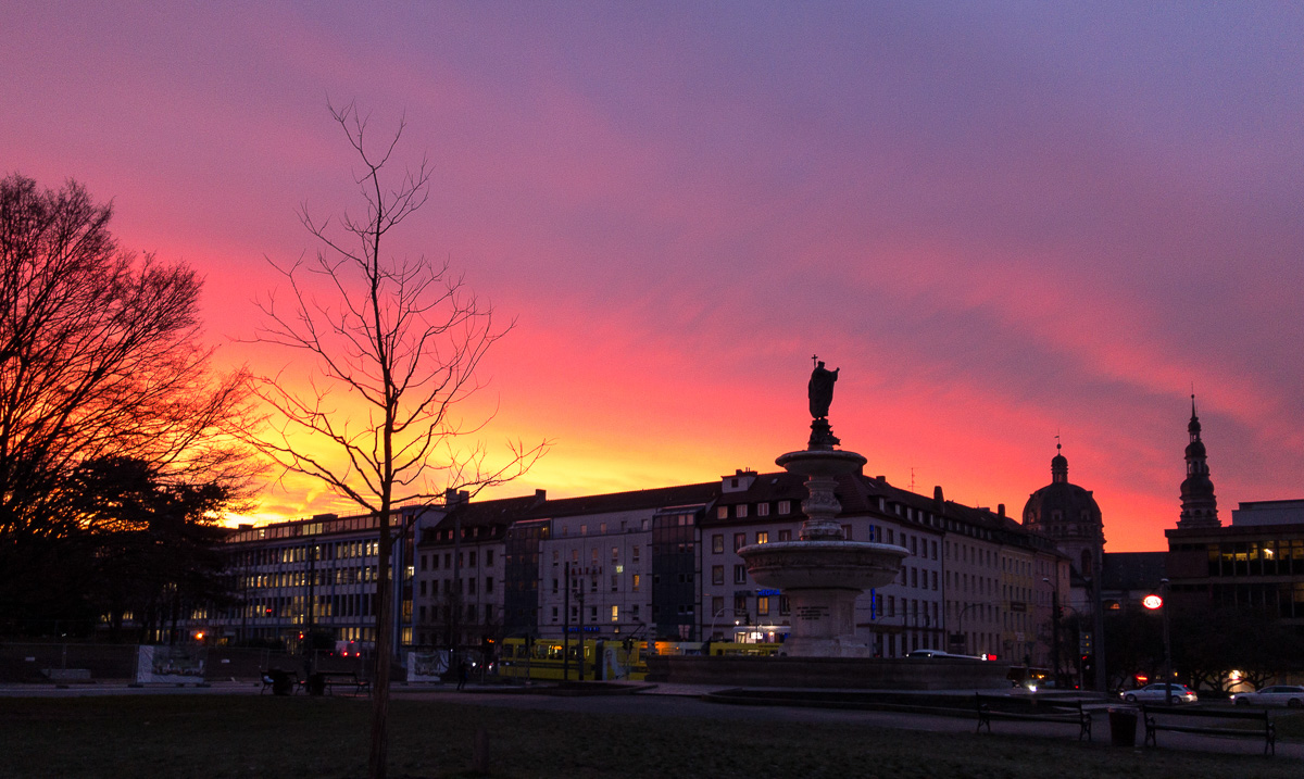 Galeriebild