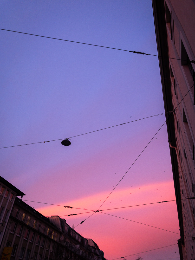 Galeriebild