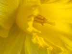Bild anschauen