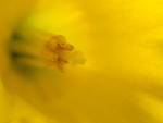 Bild anschauen