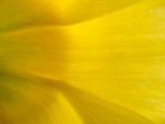 Bild anschauen