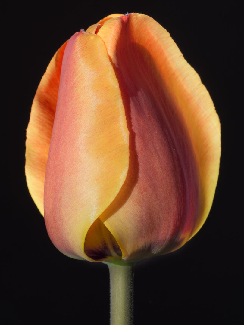 Galeriebild