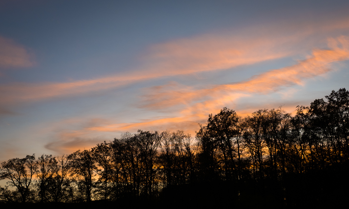 Galeriebild