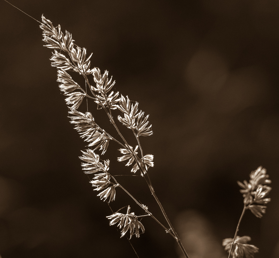 Galeriebild