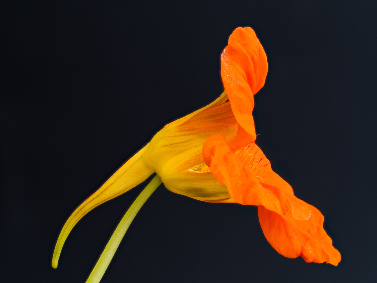 Galeriebild