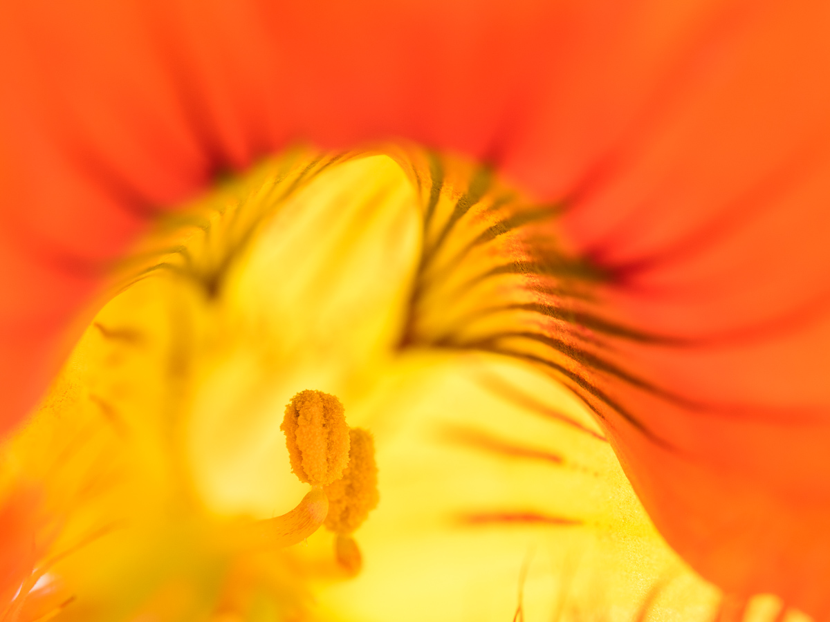 Galeriebild