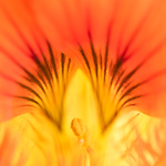 Bild anschauen