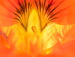 Bild anschauen