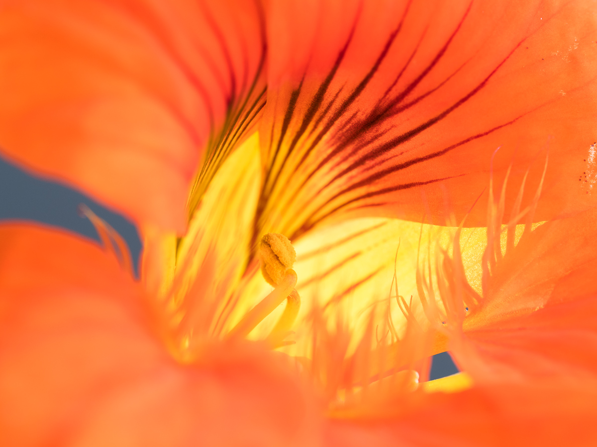 Galeriebild
