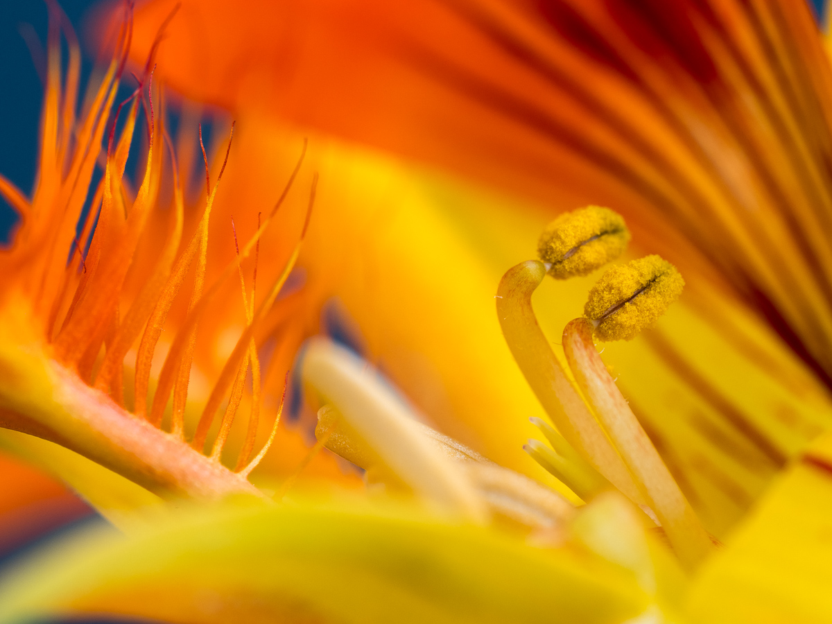 Galeriebild