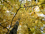 Bild anschauen