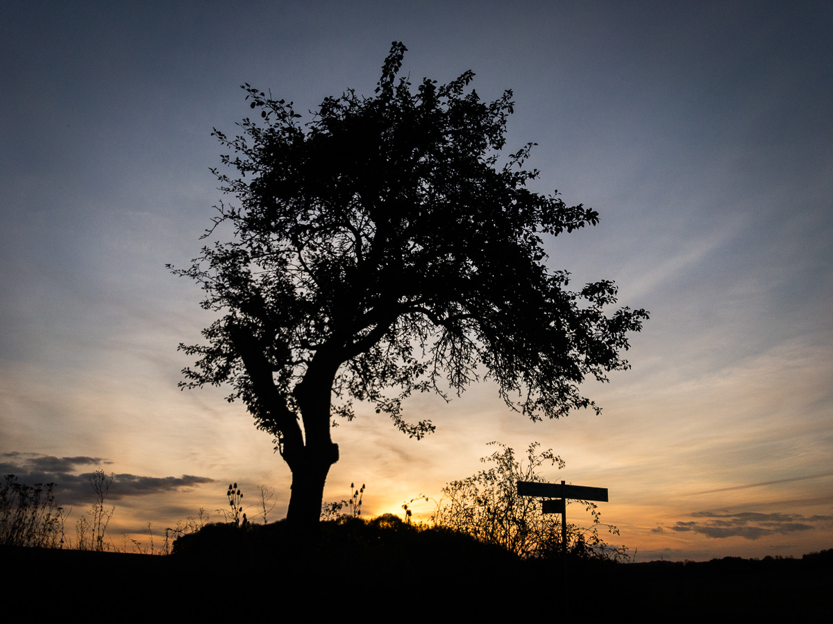 Galeriebild