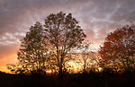 Bild anschauen