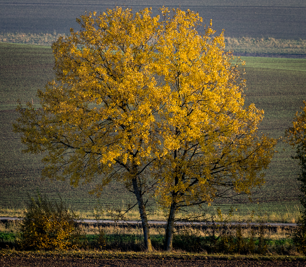 Galeriebild