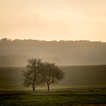 Bild anschauen