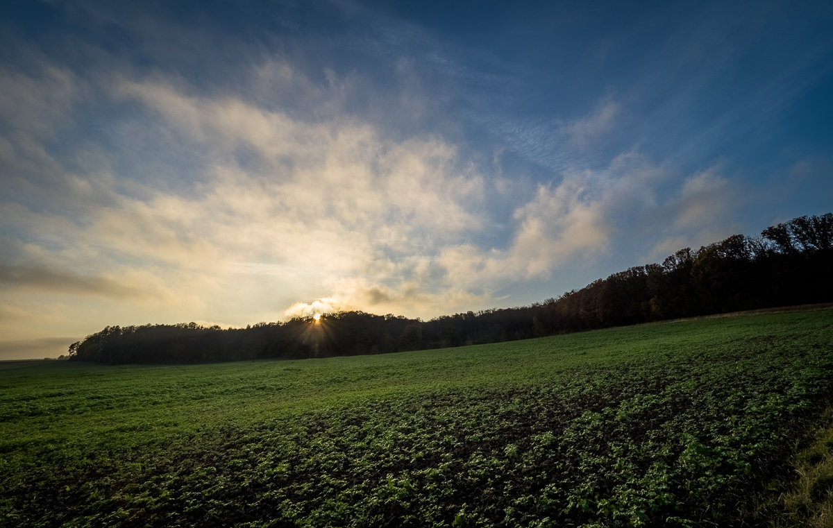 Galeriebild