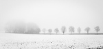 Bild anschauen