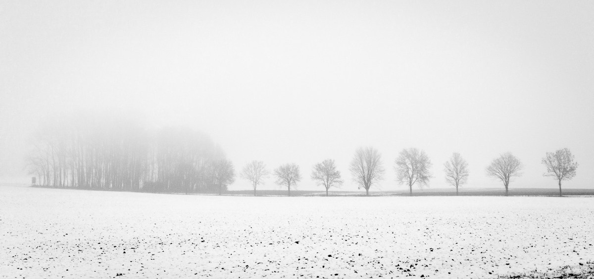 Galeriebild