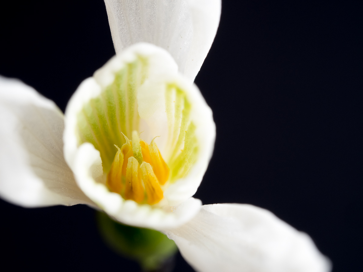 Galeriebild
