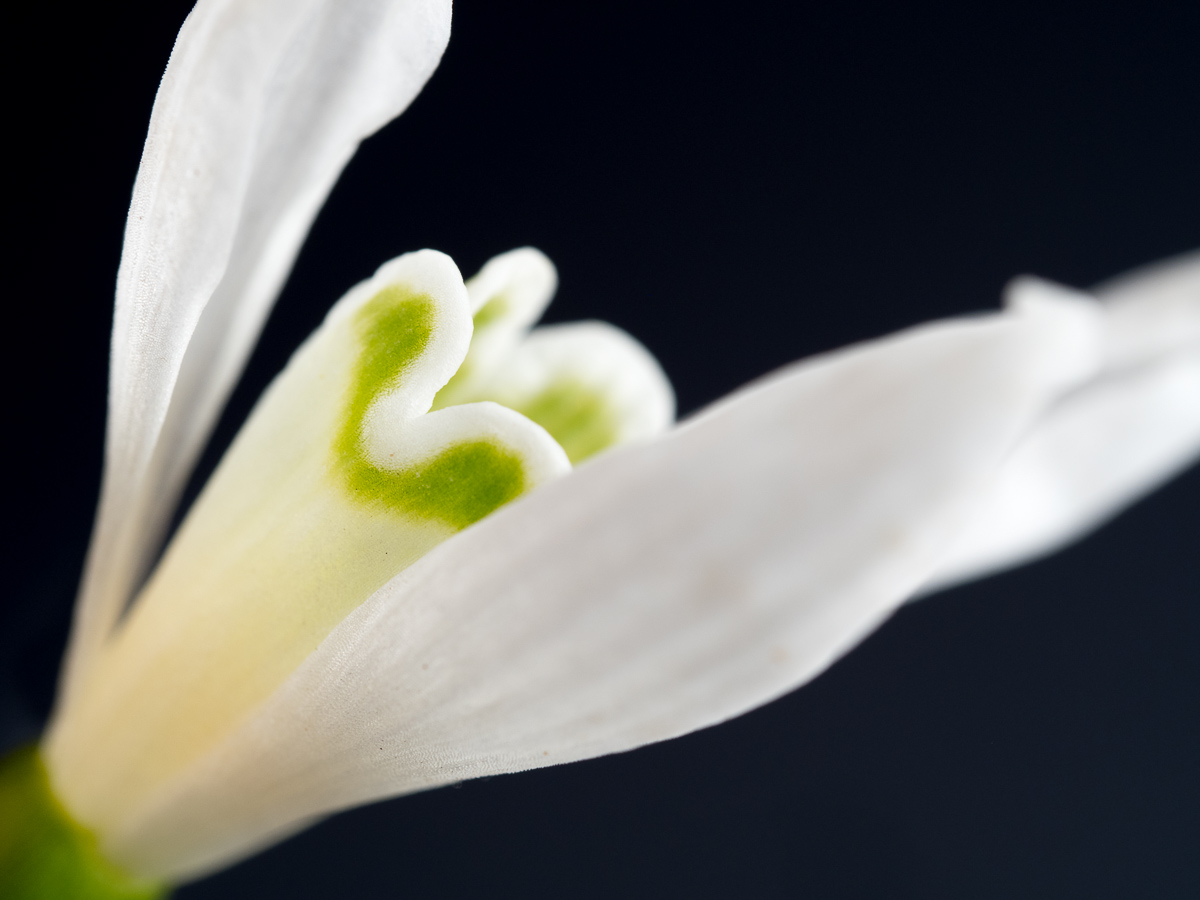 Galeriebild