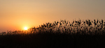 Bild anschauen