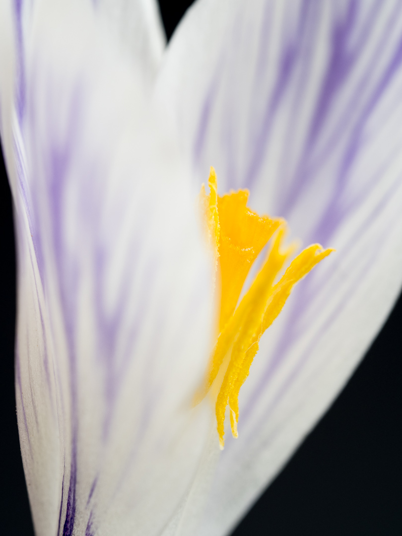 Galeriebild
