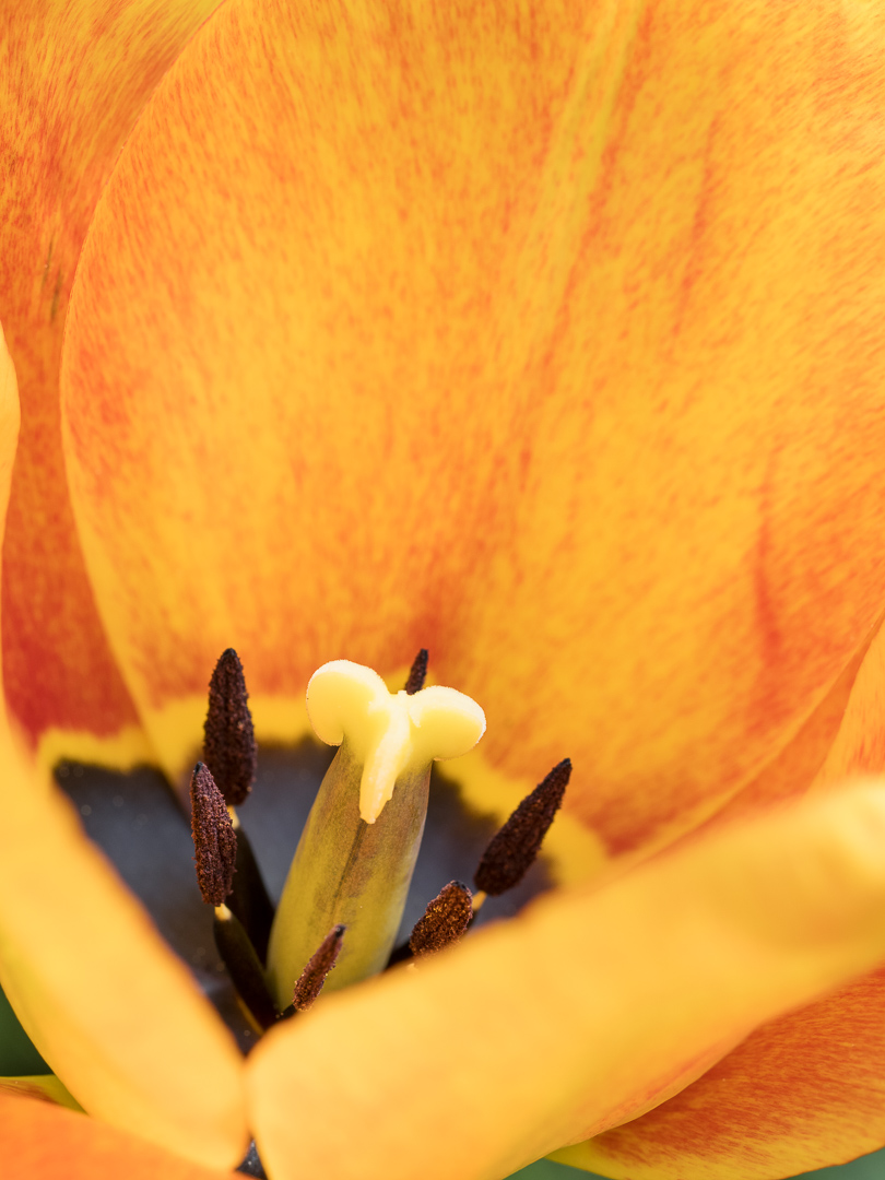 Galeriebild